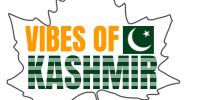 vibes of kashmir logo